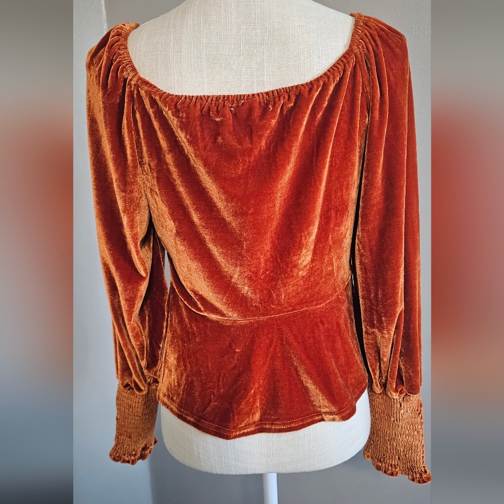 Rust Velvet Ruched Long Sleeve Top - Picture 3 of 6